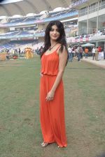 Shruti Hassan at CCL match in D Y Patil, Mumbai on 25th Jan 2014